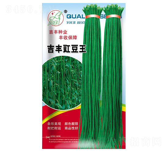 ���S������-�����N��-���S�N�I(y��)