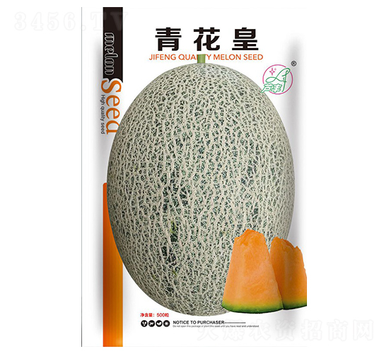 �໨��-��ϷN��-���S�N�I(y��)