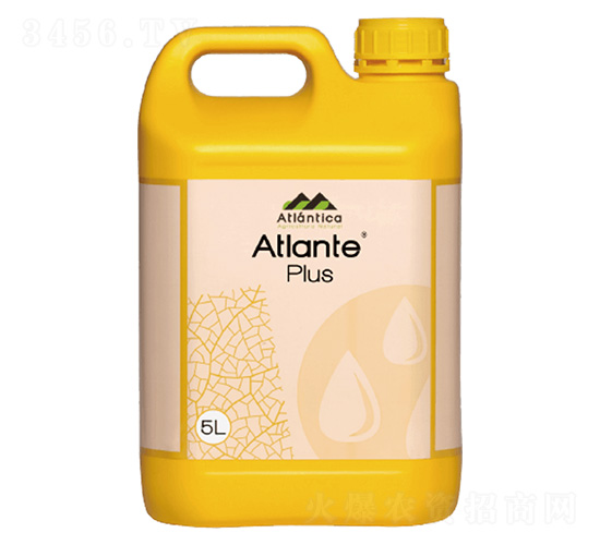 AtlantePlus-���F���r�I(y��)