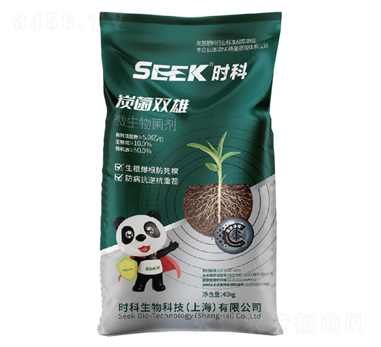 ̿���p��(����̿����)-�r������