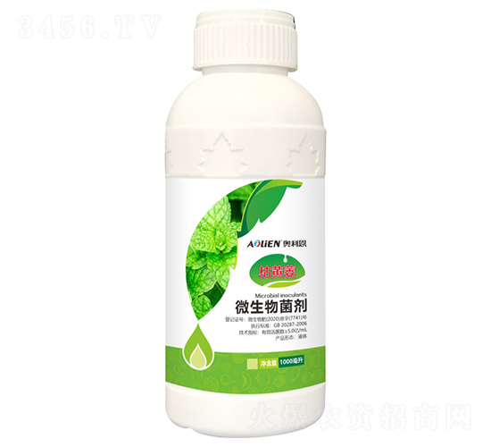 ���Sή΢�������-�W����