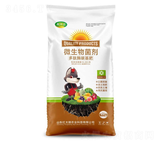 ����ø̼����-΢�������-Ǭʮ��-�t̫���r(n��ng)�I(y��)