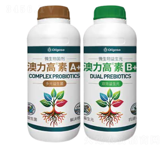 ��������A+B+-�W����