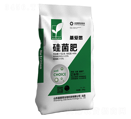 �����-����˼