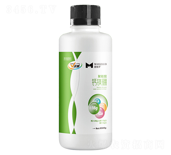 �����n�}�V��-�����_