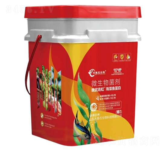 �����~����-κ�����-ľ�~ʯ