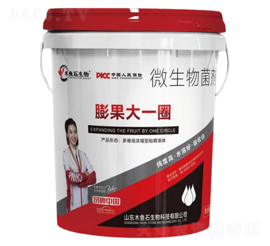 �����һȦ-ľ�~ʯ