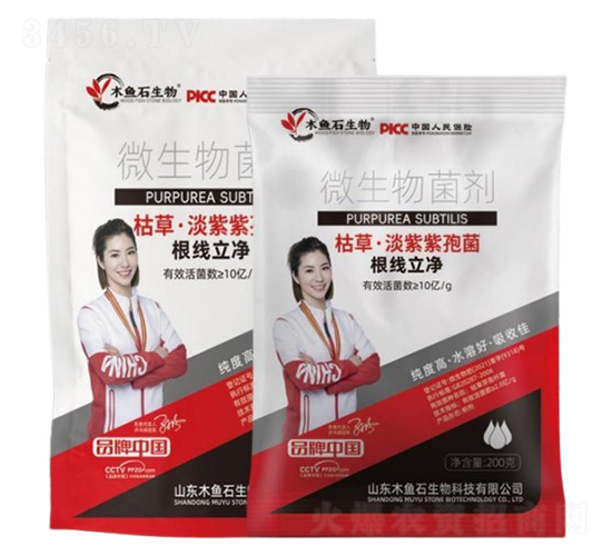 �ݲݡ��������߾�-ľ�~ʯ