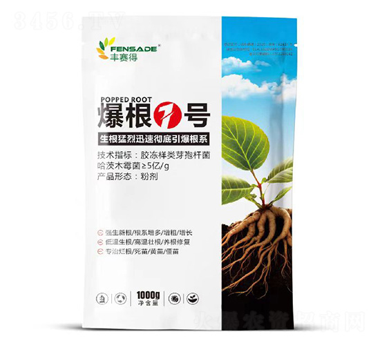 ����1̖-�Sِ��