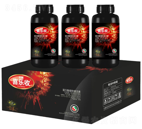 ����øֲ�Ｄ����-�t̫�(y��ng)