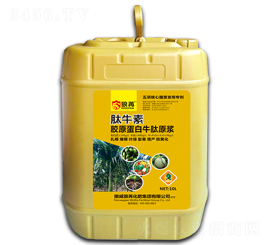 ��ţ��-����