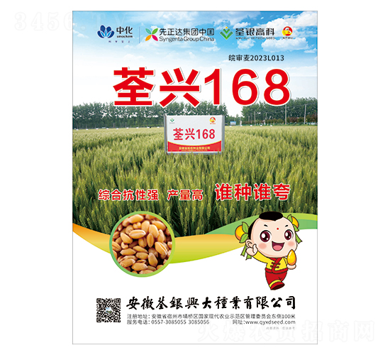 С���N��-���d168-���y�d��