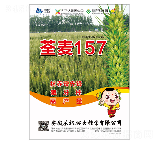 С���N��-����157-���y�d��