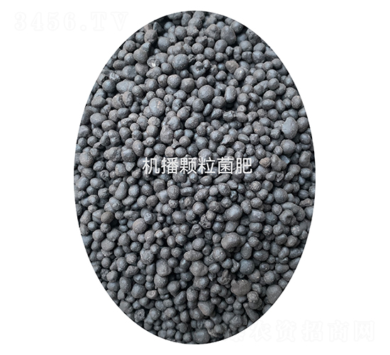 �C(j��)���w�������ЙC(j��)����-�����ַʘI(y��)