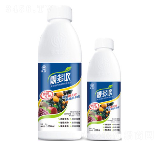 �n���ա�����(sh��)���á�-��ï����