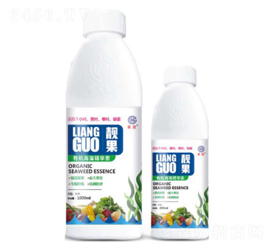 �ЙC(j��)���徫�A��-�n��-��ï����