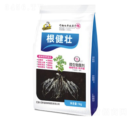 ������-΢�������-��˹��