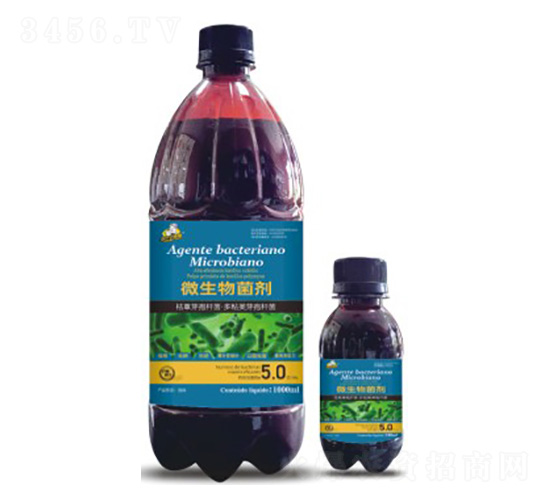 ΢�������-��˹��