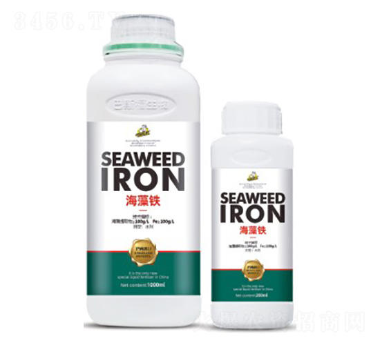 �����F-��˹��