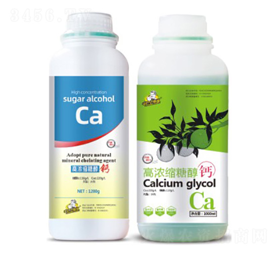 �ߝ�s�Ǵ��}-��˹��