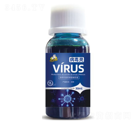 �����`-��˹��