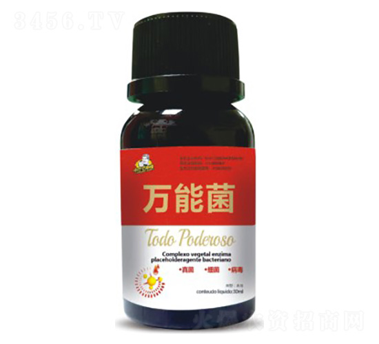 ��-��˹��