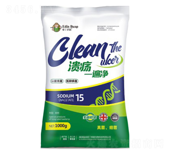 ����һ���-�۶�����