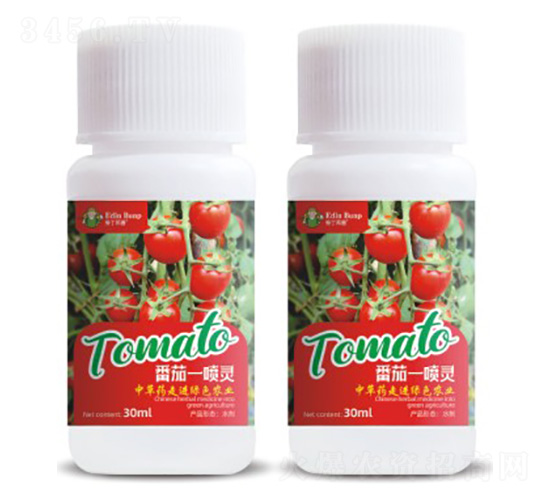 ����һ���`-�۶�����