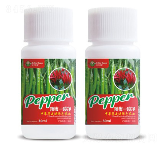 ����һ����-��(��i)������