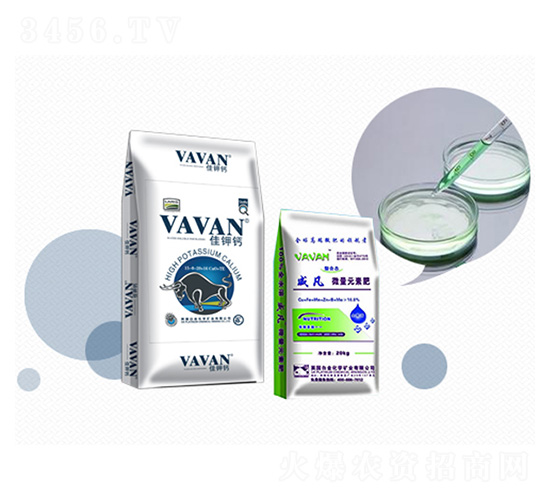 �����Է���-�Kӯ���B(t��i)