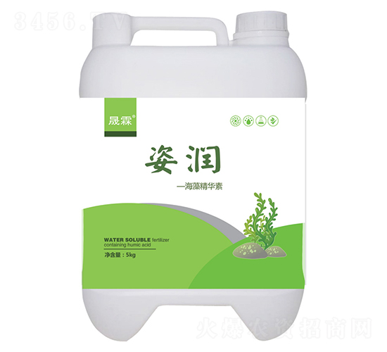 �˝����徫�A��-��������