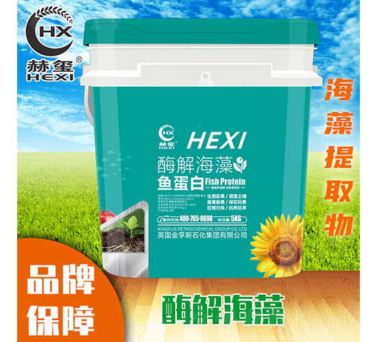 ø�⺣���~���ף�5kg��-�խt