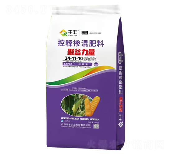 ���׌��ÿ�ጓ������24-11-10-�۹�����-ǧ�S�r(n��ng)�I(y��)