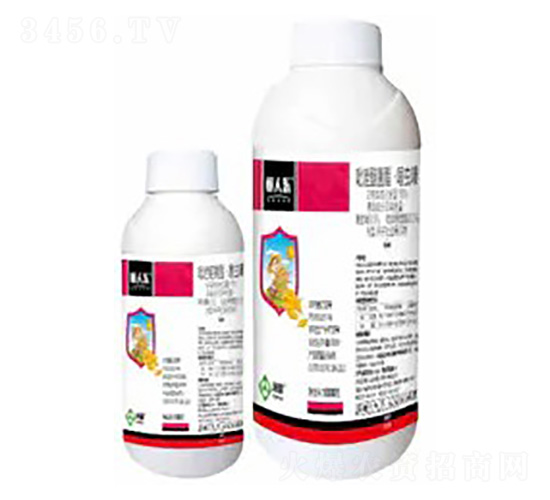 10%�����Ѿ��������xືN��̎��Ҹ���-���˘�-���՘�