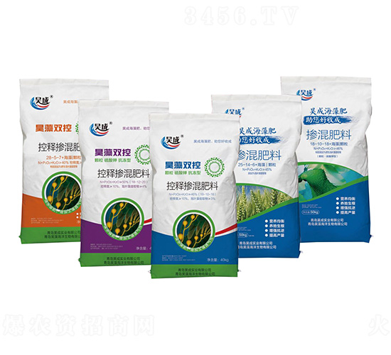 ��ጓ������-껳ɺ����/����p��-껳Ɍ��I(y��)