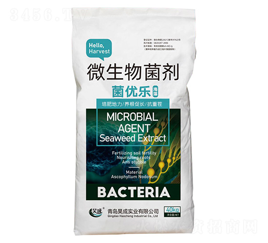 ����΢�������-����(y��u)��(l��)-껳Ɍ�(sh��)�I(y��)