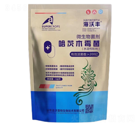 ����ľù��-�����S-��������