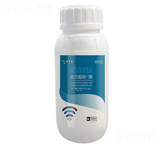 ��Ͼ�������-�U����