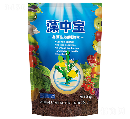 ���Ќ�-��������