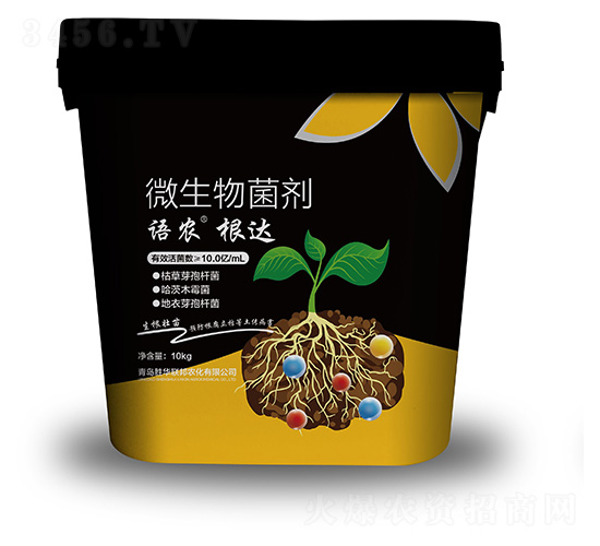 ���_΢�������-�Z�r(n��ng)-���A(li��n)��