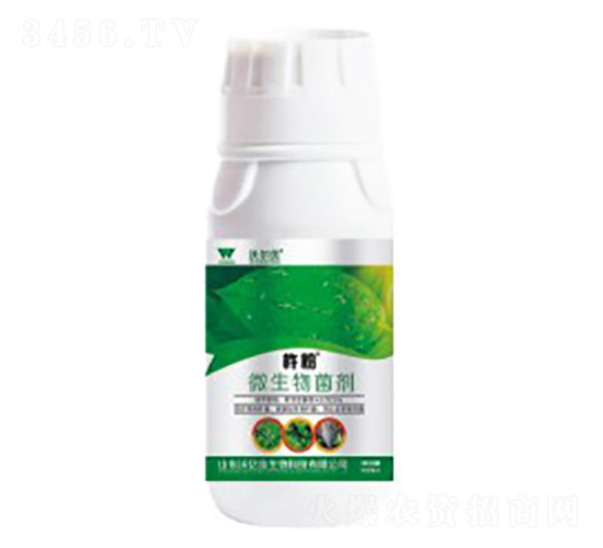 �׷�ʭ������΢�������-�Ʒ�-�֠���(y��u)