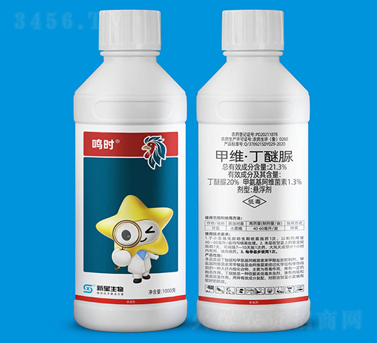 21.3%�׾S��������-�Q�r-��������