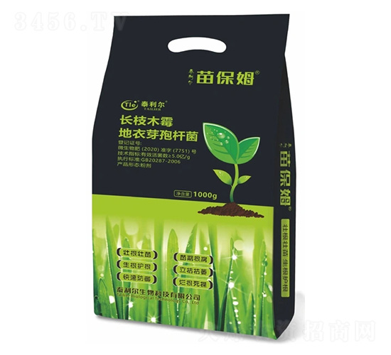 �籣ķ-̩����