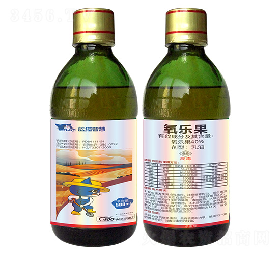 40%����������-�{؈�ǻ�