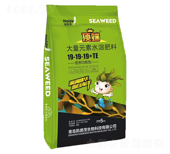 �I�B(y��ng)�����ʹ���Ԫ��ˮ�ܷ���19-19-19+TE-����Դ-�P��ï����