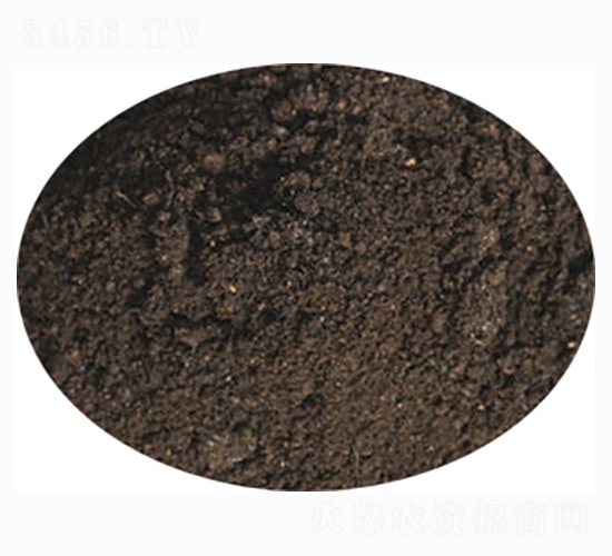 �R��������ЙC(j��)��-ӭ������