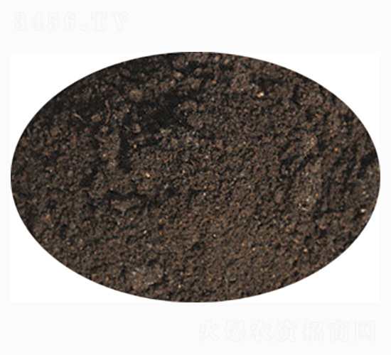 ���ь��÷�-ӭ������