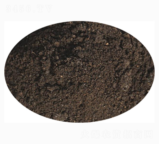 �t�팣�÷�-ӭ������