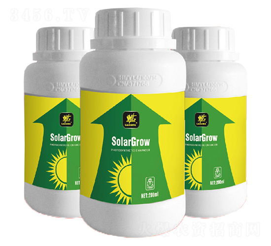 �������(qi��ng)��-�����_(d��)-�����_