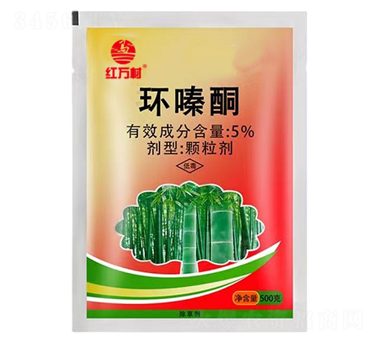 5%�h(hu��n)�ͪ-�t�f��-�l(xi��ng)�弾�L(f��ng)-���˹����r(n��ng)��